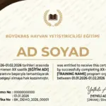 BÜYÜKBAŞ HAYVAN YETİŞTİRİCİLİĞİ EĞİTİMİ