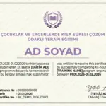 ÇOCUKLAR VE ERGENLERDE KISA SÜRELI ÇÖZÜM ODAKLI TERAPI EĞITIMI