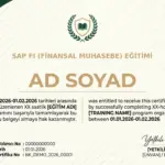 SAP FI (FİNANSAL MUHASEBE) EĞİTİMİ