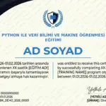 PYTHON ILE VERİ BİLİMİ VE MAKİNE ÖĞRENMESİ EĞİTİMİ