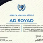 ROBOTİK KODLAMA EĞİTİMİ