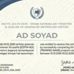 ISO/TS 24179:2020 - İNSAN KAYNAKLARI YÖNETİMİ İŞ SAĞLIĞI VE GÜVENLİĞİ METRİKLERİ EĞİTİMİ