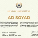 ÜST DÜZEY YÖNETİCİ EĞİTİMİ