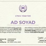 STRES YÖNETİMİ