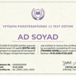 YETİŞKİN PSİKOTERAPİSİNDE 12 TEST EĞİTİMİ